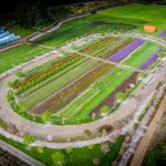 flower farms | Oregon Coastal Flowers LLC flower farms