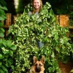 hops | Oregon Coastal Flowers LLC hops