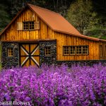barn wedding venues on the oregon coast | Oregon Coastal Flowers LLC barn wedding venues on the oregon coast