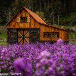 outdoor oregon wedding venues | Oregon Coastal Flowers LLC outdoor oregon wedding venues