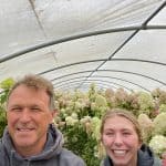 limelight hydrangeas | Oregon Coastal Flowers LLC limelight hydrangeas