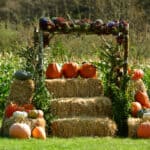 Kilchis River Pumpkin Patch & Corn Maze 2022 opening Oct. 1st. | Oregon Coastal Flowers LLC Kilchis River Pumpkin Patch & Corn Maze 2022 opening Oct. 1st.