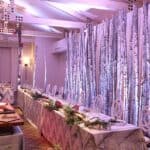 birch poles