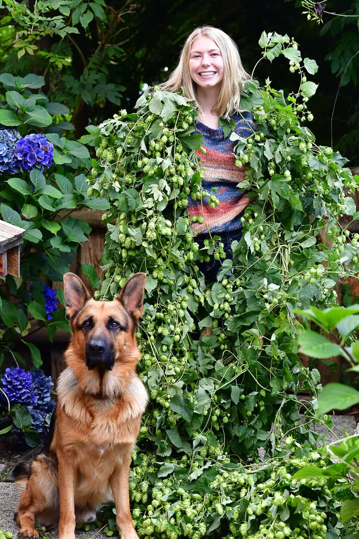 18′ Hop Vine Hop Garlands