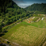hydrangea ranch | Oregon Coastal Flowers LLC Hydrangea Ranch Wedding & Special Event Venue