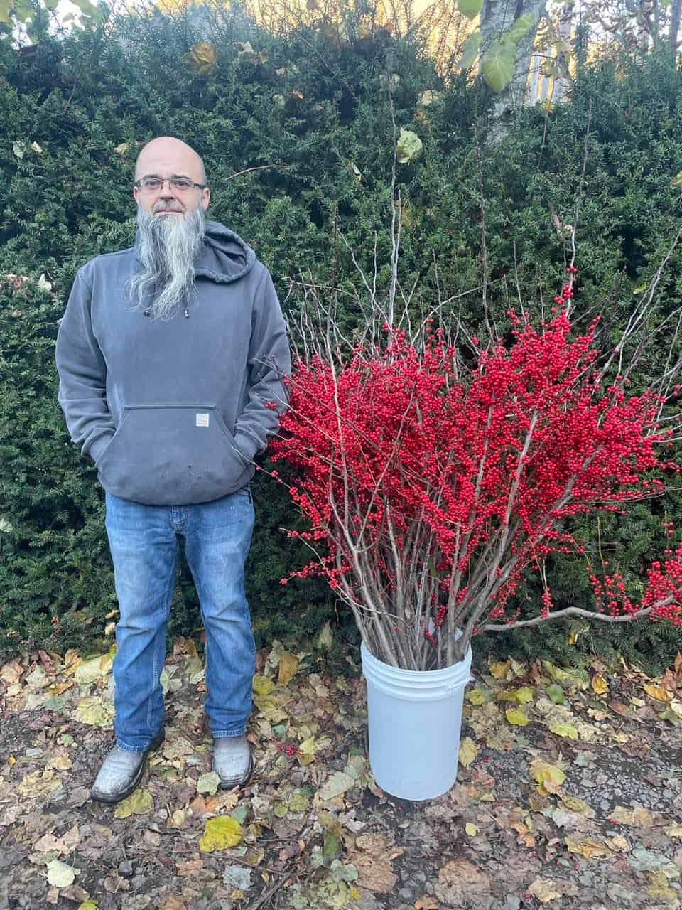 11.06.22 Ilex Red Winter Christmas Berries