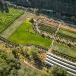 Hydrangea Ranch Wedding & Special Event Venue | Oregon Coastal Flowers LLC Hydrangea Ranch Wedding & Special Event Venue
