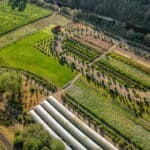 Hydrangea Ranch Wedding & Special Event Venue | Oregon Coastal Flowers LLC Hydrangea Ranch Wedding & Special Event Venue