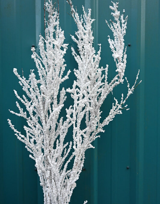 Flocked White Christmas Specialty Branches
