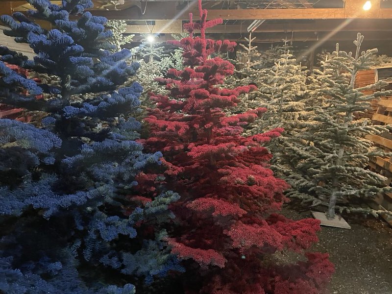 Flocked Trees